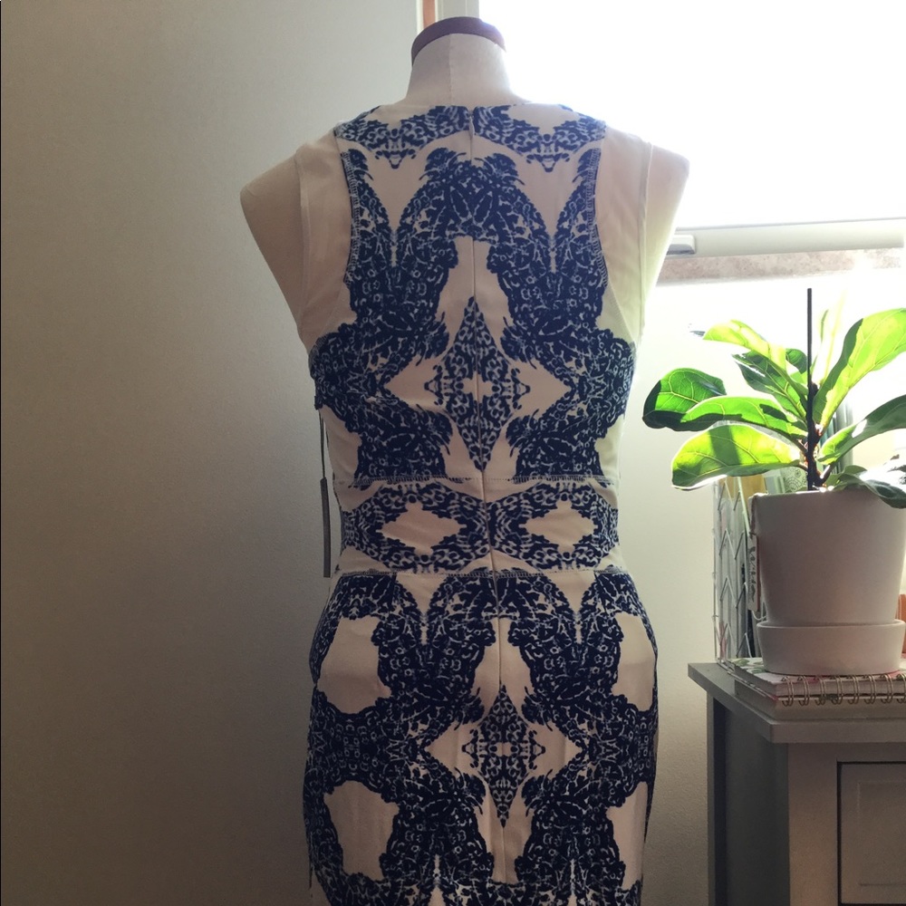 Tart Collection Dress - Picture 5 of 5